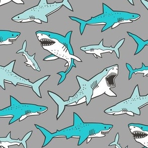 Sharks Shark Aqua Blue on Grey