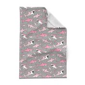 Sharks Shark Pink on Grey