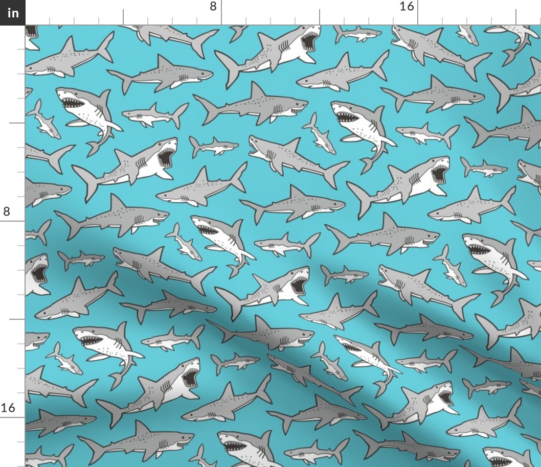 Sharks Shark Grey on Aqua Blue