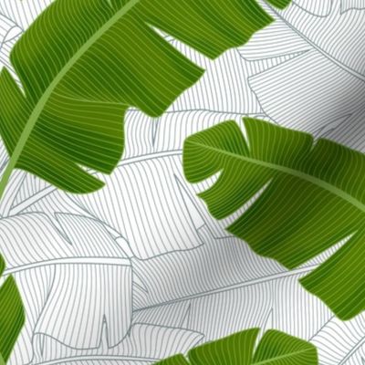 Banana Leaves: Bg White