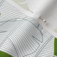 Banana Leaves: Bg White