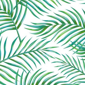 Palm_leaves_Bg_White