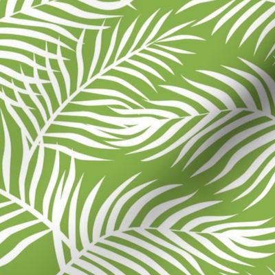 Palm Leaves: Greenery