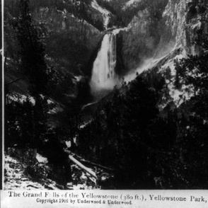 Lower Falls Yellowstone Historic- Large