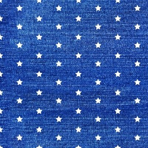 denim stars - light blue