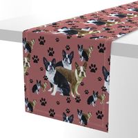 Boston Terrier and Pawprints