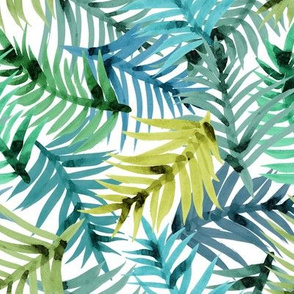 tropical palm multi