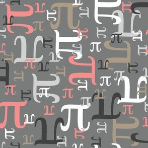 Pieces of Pi (Coral and Gray)