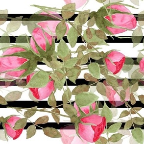 Watercolor pink roses on striped black and white