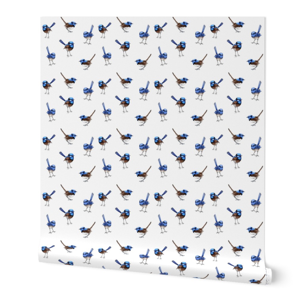 Lifesize Blue Wrens on White 2"