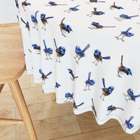 Lifesize Blue Wrens on White 2"