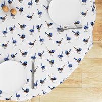 Lifesize Blue Wrens on White 2"