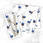 Lifesize Blue Wrens on White 2"