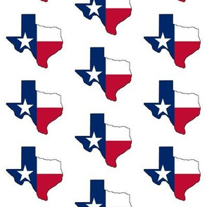 Texas Flag Overlay