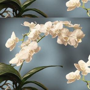 Orchid Placemats 