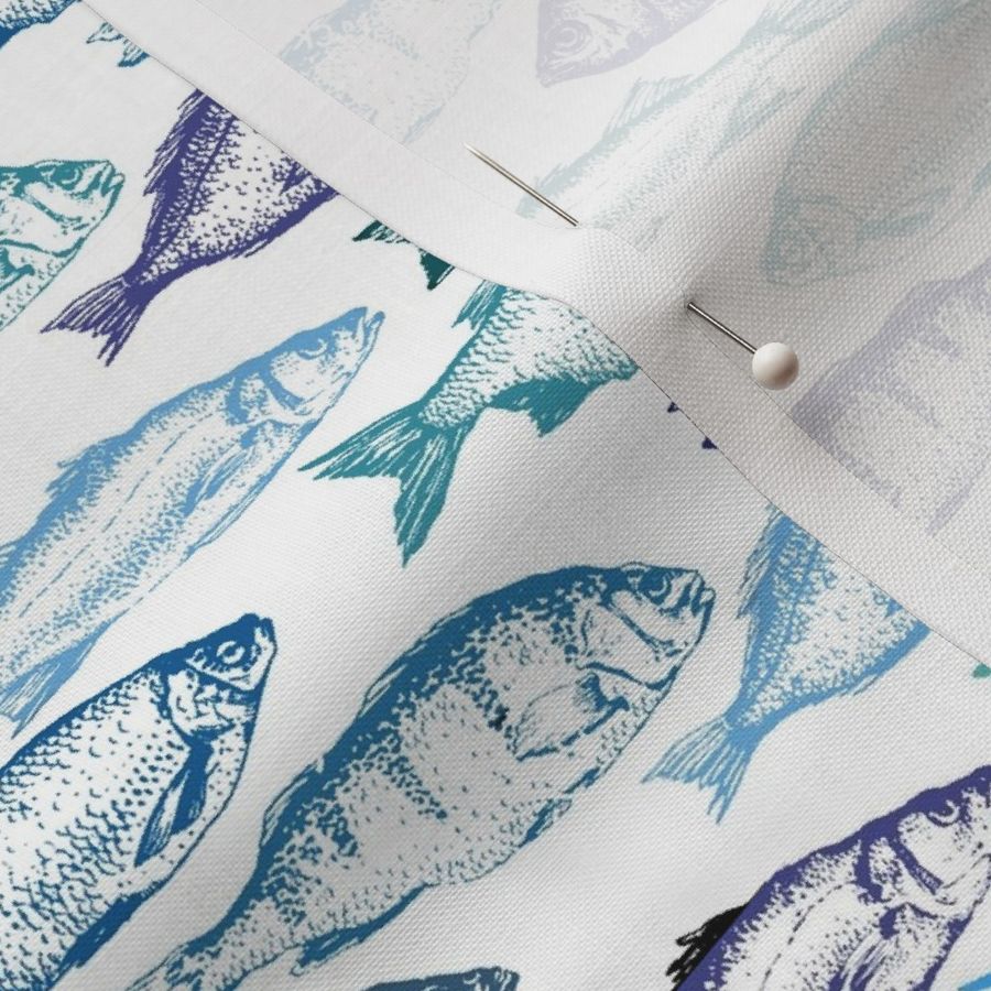 Fish Sketches in Blue Shades // Small