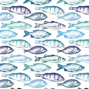 Fish Sketches in Blue Shades // Small