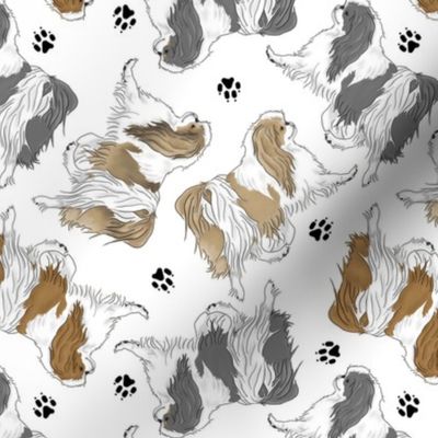 Trotting Japanese Chin and paw prints - white