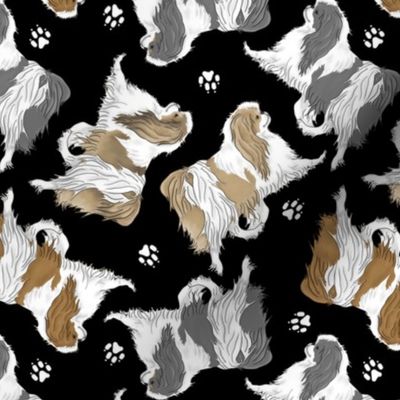 Trotting Japanese Chin and paw prints - black