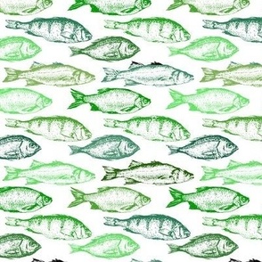 Fish Sketches in Green Shades // Small