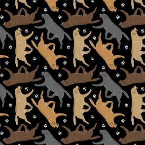 Trotting Labrador Retrievers and paw prints - black