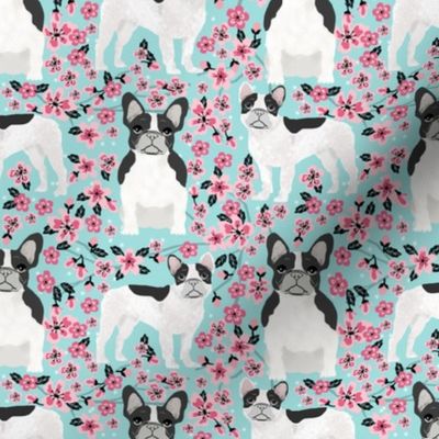 French Bulldog black and white coat cherry blossom fabricblue