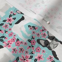 French Bulldog black and white coat cherry blossom fabricblue