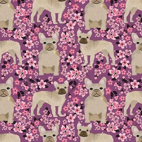 French Bulldog fawn coat cherry blossom fabric purple