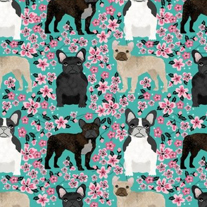 French Bulldog fawn coat cherry blossom fabric turquoise