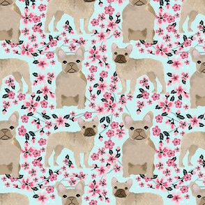 French Bulldog fawn coat cherry blossom fabric