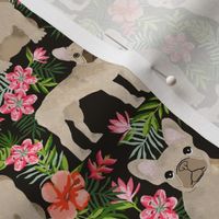 French Bulldog hawaiian floral fawn coat dog fabric