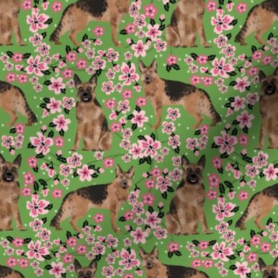 German Shepherd spring fabric cherry blossom green