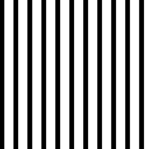 Thin Stripes 1/2 inch width Black on White Vertical