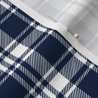 (custom scale) navy and white plaid