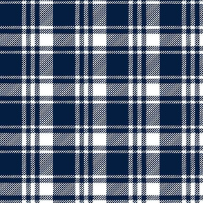 (custom scale) navy and white plaid
