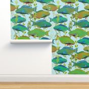 Seascape with parrotfish (JUMBO wallpaper) by Su_G_©SuSchaefer