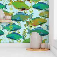 Seascape with parrotfish (JUMBO wallpaper) by Su_G_©SuSchaefer