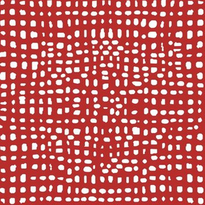 weave fabric // red grid fabric andrea lauren fabric