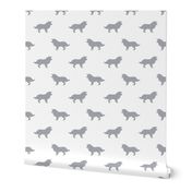 Border Collie silhouette white grey