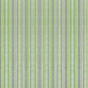 Baby Fine Stripes in Green B/W