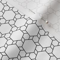 06168986 : hexagon2to1 : outline