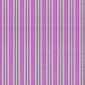 Baby Fine Stripes in Hot Purple Pink B/W