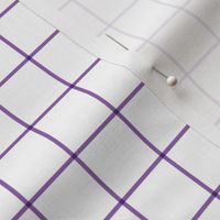 amethyst purple windowpane grid 1" square check graph paper