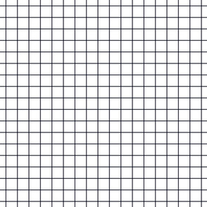midnight blue windowpane grid 1" square check graph paper