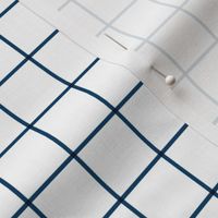 navy blue windowpane grid 1" square check graph paper