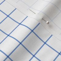 cornflower blue windowpane grid 1" square check graph paper