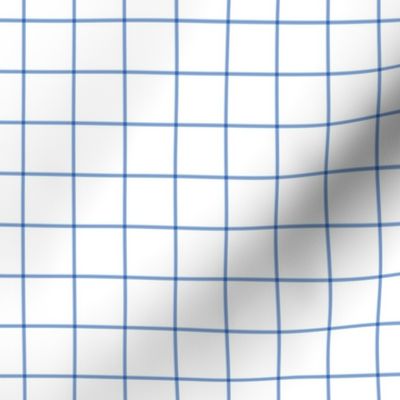 cornflower blue windowpane grid 1" square check graph paper