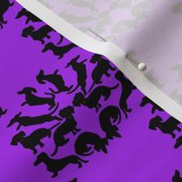 Custom Doxie Damask Black on Purple