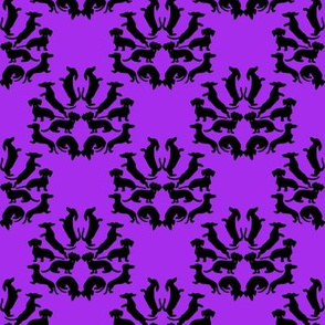 Custom Doxie Damask Black on Purple