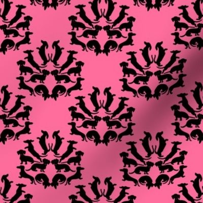 Custom Doxie Damask Black on Pink